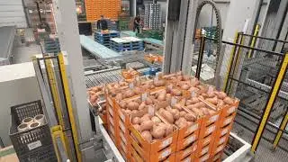 GreenGoose Company Video