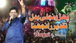Wanjli by Malkoo | Sufi Kalam 2024 | Choha Shareef