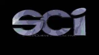 Sales Curve Interactive (1994)