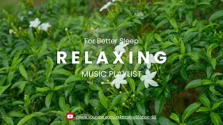 Relaxing Music with Nature Flowers | Soothing Botanical Ambience for Calmness & Relaxation