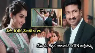 Pakka Commercial Movie Gopichand And Raashi Khanna Comedy Scenes || Telugu Super Hit Movies