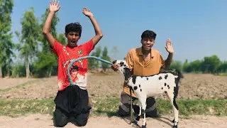 Very Special Trending Funny Comedy Video 🤣Part 106 By Chinto Family