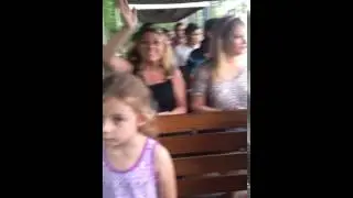 Turtle back zoo train