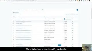 Majin Shiba Inu - обзор BSC и WhitePaper