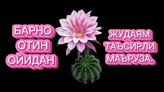 Барно отин ойидан маъруза 2023 . Barno otin oyidan maruza 2023.