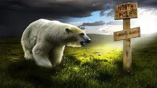 Emdi x Coorby - Lonewolf ( Kristi-Leah )( Op7 Release )( NCS )