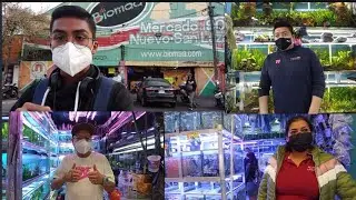 Top 10 Mejores locales del Mercado de Mixihuca para comprar en 2022 / Precio, calidad y variedad.