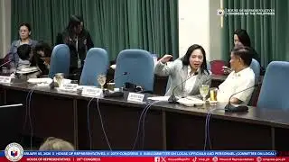 SUBCOMMITTEE ON LOCAL OFFICIALS AND PERSONNEL (Committee on Local Government)