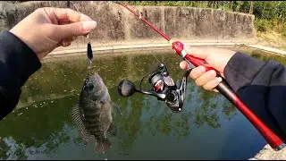 Thử Đi Câu Lure Rô Phi Bằng Mồi Thìa Xoay Giá Rẻ Trên Mạng Và Cái Kết