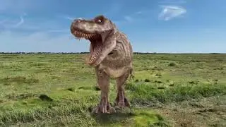dinosaur t-rex raptor drone view running walking free video | PPS