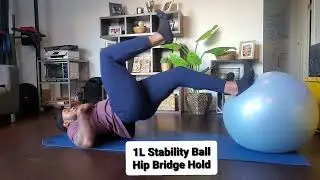 Single Leg Stability Ball Hip Bridge Hold