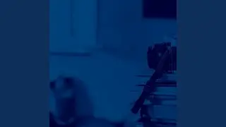Simple Music for Working
