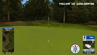 Golden Tee Great Shot on Hollywood Hills!