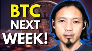 Bitcoin and Crypto Will Skyrocket On THIS DATE! I Willy Woo