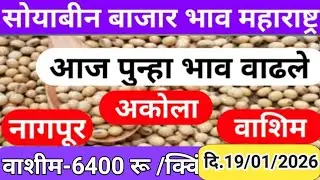 Soyabean Market Rate in Washim वाशीम लातूर 6400 रू |आजचा सोयाबीन बाजारभाव|Soyabean Bhav Today Latur.