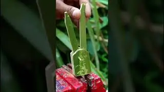 Use Bamboo to cute compass ,Easy to make -DIY #shorts