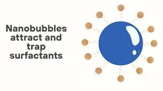 How Nanobubbles Tackle Surfactants