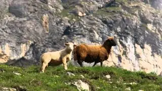 Mottakopf (2.176m) -- ein Gipfel im Brandertal abseits des &bdquo;Rummels
