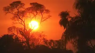 El Gran Pantanal del Mato Grosso
