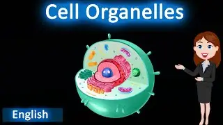 Cell Organelles ||  3D animated explanation || class 9th || the fundamental unit of life  ||