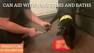 Best Pet Accessories 🐶 🙀 😍 | Must Have Licking Mat For Your Dog/Cat!