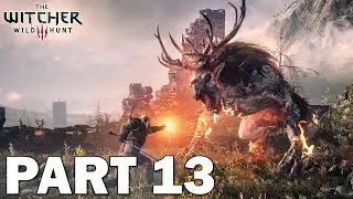 THE WITCHER 3 WILD HUNT - [PART 13] Return to Crookback Bog | Pyres of Novigrad - NO COMMENTARY