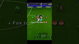 🥶 Van Basten -  Fox In The Box 🥶