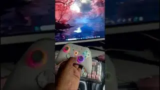 Controle Gamer ninja word
