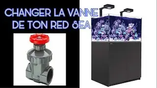 COMMENT CHANGER LA VANNE DE SON AQUARIUM RED SEA