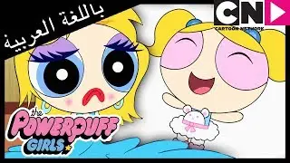 فتيات القوة | ملكة الجمال | كرتون نتورك