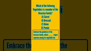 The Brassica Family: Which Vegetables Belong? Discover the Nutritious Vegetable Which Reigns Supreme