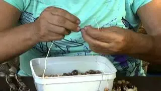 Faça um lindo colar com sementes naturais