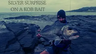 Демонстрация приманки Kei Kob привела к появлению PB Cracker