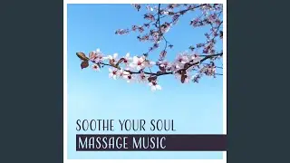 Body and Soul Balance