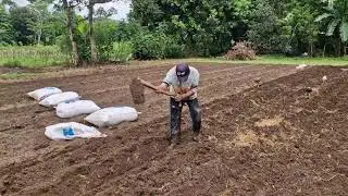 GENIUS FARMING HACK: MAKE CHILI BEDS WITH A SIMPLE TOOL! - Agriculture Farming