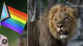 QUEER PLANET! PROPAGANDA SO INSANE THAT YOU HAVE TO BE NOT HUMAN TO BELIEVE IT!!