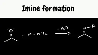 Imine formation / Organic reaction mechanisms