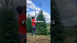 What&rsquo;s the most creative way you&rsquo;ve ever followed your parents&rsquo; rules just to annoy them?