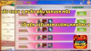 Thế Giới Hải Tặc #95: Cày Chay 7 Ngày Đầu Có Nên Lấy SP Kim Cương Không ?