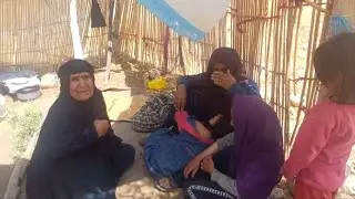 Grandma's help in harvesting agricultural products
