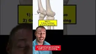 HUGE Squat Myth (Knees Over Toes?!)
