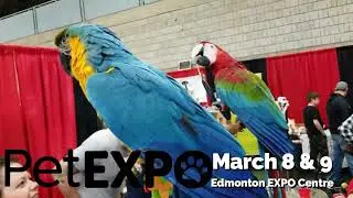 2025 Edmonton Pet Expo