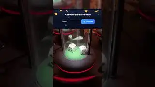 The Truth About Casino 