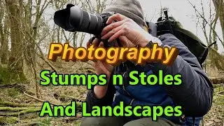 Windy Woodland photography and setting up the Trail Camera