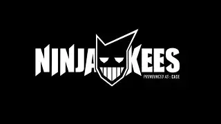Enter The NinjaKees | WHY I MADE THIS CHANNEL