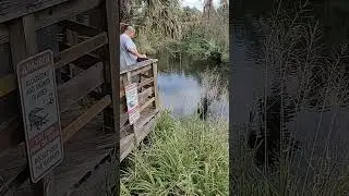 #floridaparadise #floridaspring #beautifulnature #beautifuldestinations #peaceful #peacefulmoments