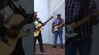 Lo has pagado caro?