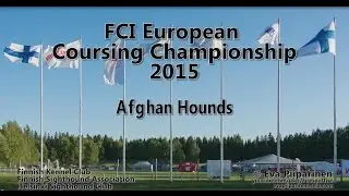 FCI European Coursing Championship 2015 &bull; Afghan Hounds