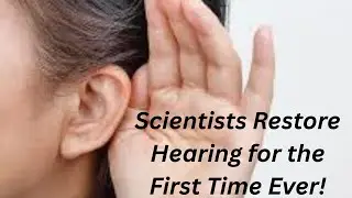 A Hearing Breakthrough Like Never Before
