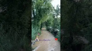 #shorts 🌊🌊OBA River🌊🌊🌊 #alanya #alanyaoba #alanyaobabeach